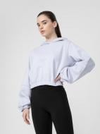 Джемпер 4F 4FSS22TSWSF144-34S р. XS голубой