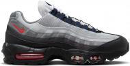 Кроссовки мужские демисезонные Nike AIR MAX 95 DM0011-007 р.44 черные