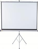 Экран Nobo 175x132 см 1902396