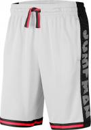 Шорты Jordan M J JUMPMAN HBR BBALL SHORT CD4906-100 р. L белый