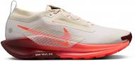 Кроссовки мужские Nike Pegasus Trail 5 GORE-TEX FQ0908-104 р.47