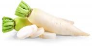 Редька Дайкон