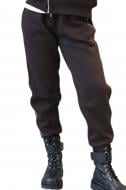 Брюки BAVOVNA ESS PANT CF FLC BVNW131-700 р. XS коричневый