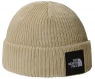 Шапка THE NORTH FACE Explore NF0A55KC-4D51 р.OS бежевий