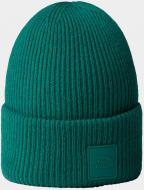 Шапка THE NORTH FACE Urban Patch NF0A7WJG-NL11 р.OS зелений
