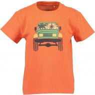 Футболка для мальчиков Blue Seven р.98 розовый 802376 * 98