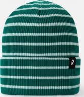 Шапка-бини Reima Reissuun 5300073B-8941 р.48/50 темно-зеленый