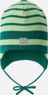 Шапка Reima Kivi 5300143A-89A1 р.50 зеленый