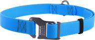 Ошейник WAUDOG Waterproof 2,5х35-70 см голубой