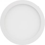 Светильник точечный LightMaster 5000 К белый AL509