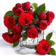 Набір зі стразами Червоні троянди 30x30 см (У) GoToArt