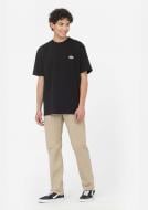 Брюки Dickies KERMAN DK121116KHK1 р. 33-32 бежевый