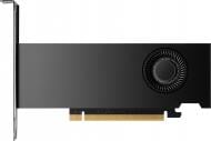 Видеокарта HP Quadro RTX A2000 Ada 16GB GDDR6 128bit (8D6B8AA)