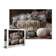 Пазл DoDo Милі кошенята 300534