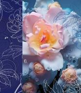 Пакет подарунковий "А+" в асортименті