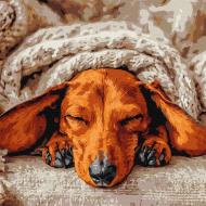 Картина по номерам Сладкий покой ©art_selena_ua 40х40 см Ideyka