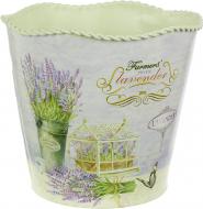 Вазон декоративний Lavender циліндр металевий 15х13,5 см Вазон декоративний Lavender циліндр металевий 15х13,5 см
