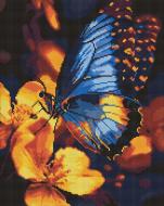 Алмазная мозаика Мерцание крыльев ©art_selena_ua Ideyka