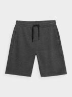 Шорты 4F SHORTS CAS M156 4FSS23TSHOM156-23M р. 3XL серый