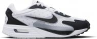 Кросівки чоловічі демісезонні Nike AIR MAX SOLO DX3666-100 р.41