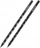 Карандаш графитный Botanique туба (K20-059) KITE