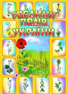 Книга Наталья Будная «Рослини полів України.» 966-692-964-3