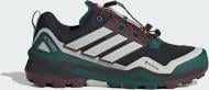 Кроссовки мужские Adidas TERREX SKYCHASER GTX KJ8913 р.43 1/3 разноцветные Кроссовки мужские Adidas TERREX SKYCHASER GTX KJ8913 р.43 1/3 разноцветные