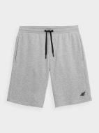 Шорты 4F SHORTS CAS M156 4FSS23TSHOM156-27M р. 3XL серый