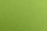 Коврик для сервировки Green 30х45 см фетр
