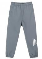 Штани дитячі JOIKS демісезонні унісекс р.140 сірий NSoF-03/e