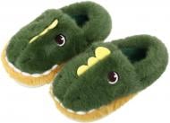 Тапочки для мальчиков HW с аркой Дракон р.24-25 зеленый NULL