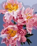 Картина по номерам Изысканные пионы 40x50 см Santi