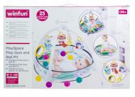 Розвиваючий килимок Winfun 710000-NL