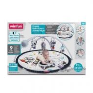 Розвиваючий килимок Winfun 710011-NI