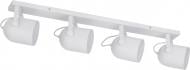 ВИТРИНА! Спот TK Lighting Spectra 4x60 Вт Е27 белый 2607