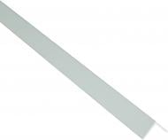 Поріжок алюмінієвий анодований Braz Line 10х10x2700 мм срібло