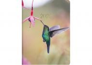 Дневник датированный Колибри Economix A5 2026