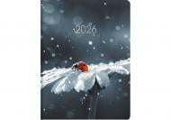 Дневник датированный Божья коровка Economix A5 2026