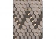 Дневник датированный Голди Economix A5 2026