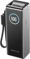 Повербанк EcoFlow RAPID Power Bank с кабелями 25000 mAh (EF-RAPID25K100W-S-EU)