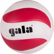 Волейбольний м'яч Gala BV5671SC р. 5 Волейбольний м'яч Gala BV5671SC р. 5