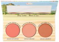 Рум'яна theBalm Girls’ Getaway Trio 9,9 г