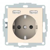 Розетка USB + USB 1 с заземлением Schneider Electric Merten IP20 бежевый MTN2366-0344