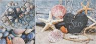 Плитка Атем CHARLOTTE 1 BL декор 25x50 Плитка Атем CHARLOTTE 1 BL декор 25x50