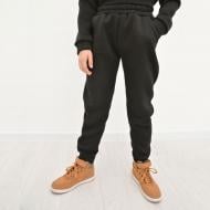 Штани утеплені Blanka р.128 чорний 110065