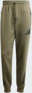 Брюки Adidas M Z.N.E. PT JC7915 р. S зеленый