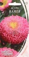 Семена Насіння України астра помпонная Камея 0,3 г