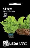 Насіння LedaAgro салат Афіціон F1 30 шт. (4820119791479)