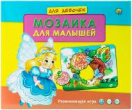 Мозаика Рыжий кот ИН-0034