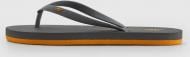 Шлепанцы 4F FLIPFLOP M237 4FJWSS27FFLIM237-25S р.35 серый